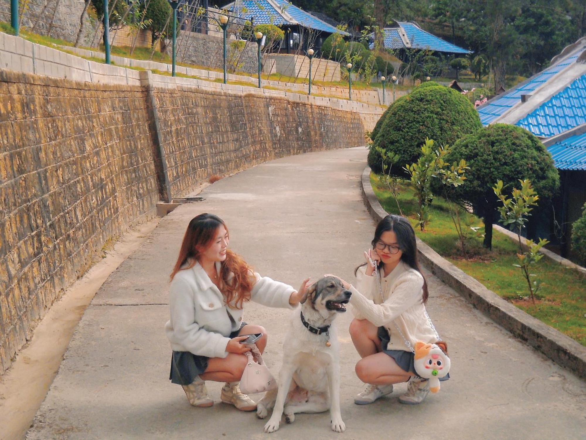 Osaka Village Dalat Bagian luar foto